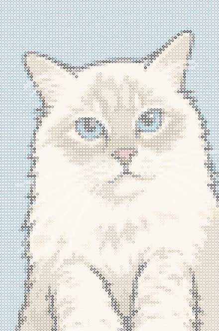 The same cat made in fuse beads